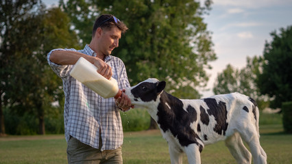 Authentic shot of young farmer is feeding from the bottle with dummy an ecologically grown newborn calf used for biological milk products industry on a green lawn of a countryside farm with a sunshine