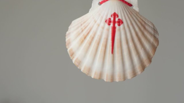 st. james shell scallop rotating, hanging, santo ano, holy year