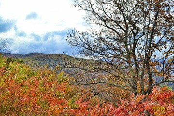 Fall on the Blue Ridge