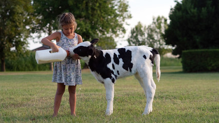 Authentic shot of little girl is feeding from the bottle with dummy an ecologically grown newborn calf used for biological milk products industry on a green lawn of a countryside farm with a sunshine. © Kitreel
