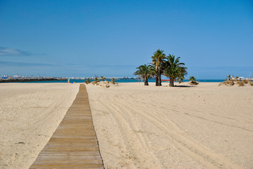 Beach in Andalusia with palm trees on the ocean