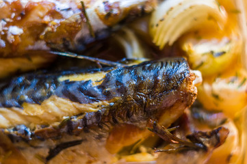 Mackerel baked in the oven, home dish, close-up