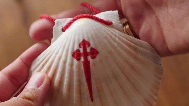 st. james shell scallop in hand, red cross