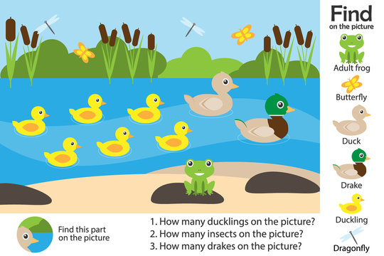 Activity page, pond with ducks in cartoon style, find images and answer the questions, visual education game for the development of children, kids preschool activity, worksheet, vector illustration