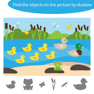 Find the objects by shadow, game for children pond with ducks in cartoon style, education game for kids, preschool worksheet activity, task for the development of logical thinking, vector illustration