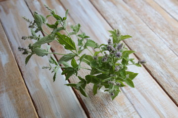 Green mint herb bouquet on wooden table