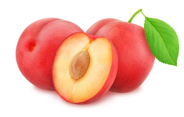 Composition with Red Plums Isolated on White Background