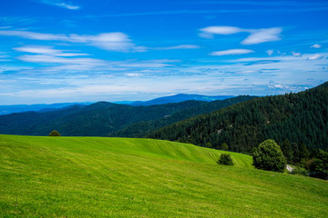 Germany, Endless view over authentic black forest mountain nature landscape covered by fir and conifer trees next to green meadow