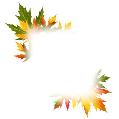Maple leaves. Autumn background. Red. Yellow. Green. Vector illustration. Square frame.