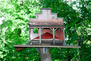 Birdhouse in the woods on a tree on a sunny day