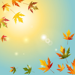 Fototapeta na wymiar Maple leaves. Autumn background. Red. Yellow. Green. Vector illustration. Sky. The sun. Blue. 