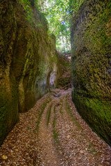 Le incredibili Vie Cave, scavate dagli etruschi tra i borghi di Pitigliano e Sorano, Toscana, Italia