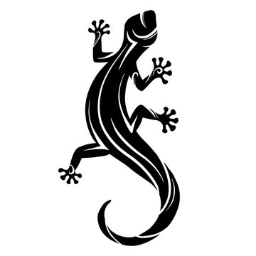 Stylized lizard. Black white reptile illustration. Vector logo lizards. Tattoo.