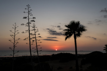 Sunset on the beach of La Barrosa, Sancti Petri, Cádiz, Spain