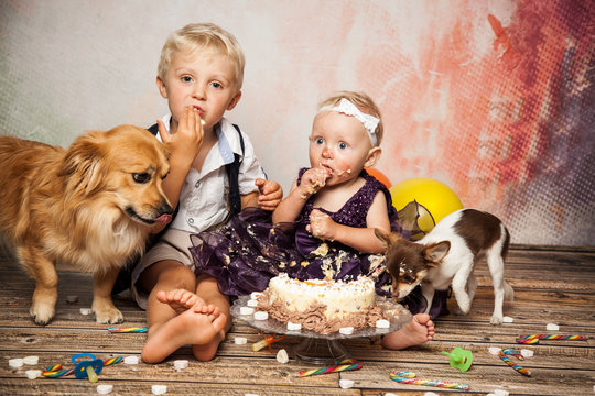 Hunde naschen Torte