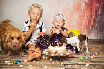 Hunde naschen Kuchen