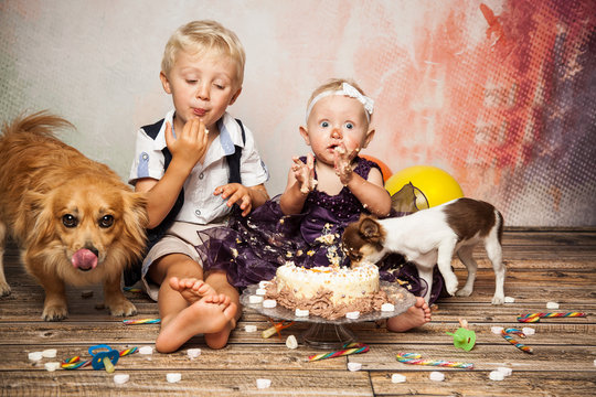 Hunde naschen Kuchen