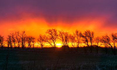 Fototapeta premium very beautiful view with sunrise and very colorful sky with black tree silhouettes in the foreground, Denmark