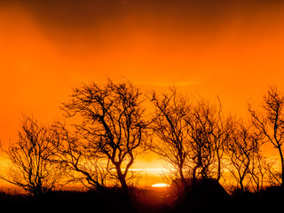 very beautiful view with sunrise and very colorful sky with black tree silhouettes in the foreground, Denmark