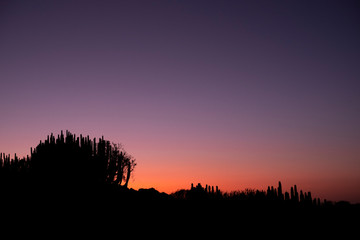 Dusk evening time in the cenic landscape desert place with cactus in silhouette - concept of arid...