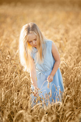 A little blonde girl is standing in a wheat field in summer with spikelets in her hands.