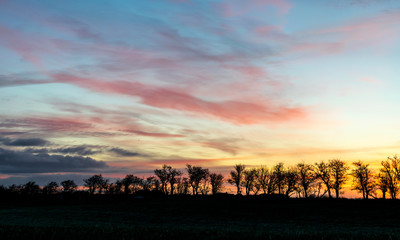 beautiful view with sunrise and very colorful sky with black tree silhouettes in the foreground