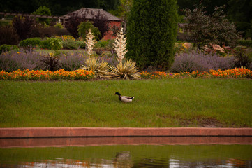 Will Rogers Park. Oklahoma City. OK.