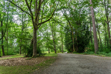 Arboretum Path And Trees