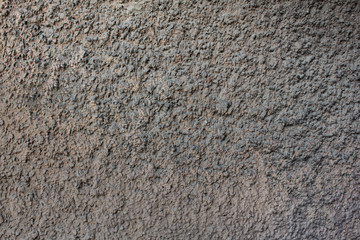 Wall grey rough texture.