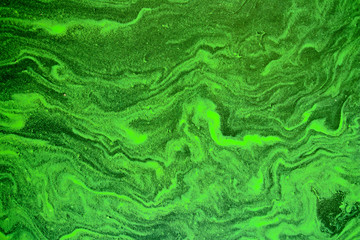 Fototapeta na wymiar Blooming blue-green algae (Cyanobacteria). Water pollution of rivers and lakes with harmful algal blooms. It is world environmental problem. Ecology concept of polluted nature.