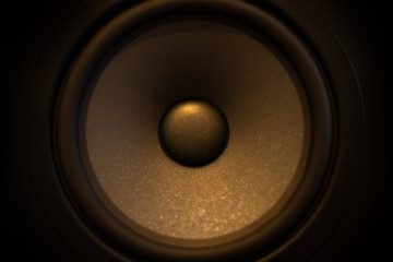 Close-up of a professional golden sound speaker, only the speaker cone isolated. Music concept. Mixing and mastering. Professional quality sound. Audio engineer.