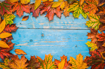 Autumn yellow leaves on old blue wooden background.