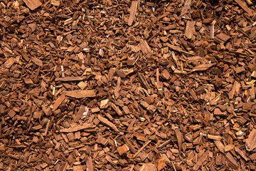 Carpenter wood particles.