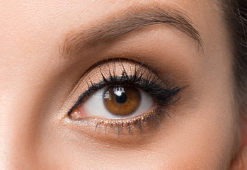 Woman's eye - close up photo. Eyesight and ophthalmology concept.