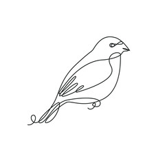 Bullfinch one line drawing on white isolated background. Vector illustration