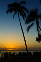 Obraz premium Waikiki Sunset