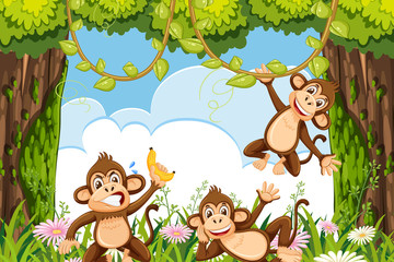Obraz na płótnie Canvas Cheeky monkeys in jungle scene