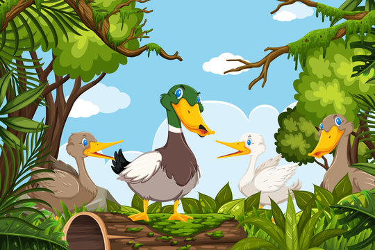 Ducks in jungle scene