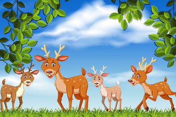 Obraz na płótnie Canvas Deer in nature scene