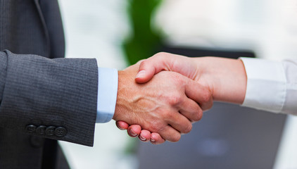 Businessmen shaking hands to seal a deal