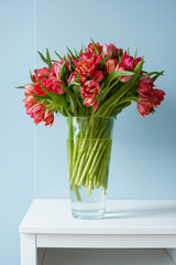 Beautiful bouquet of red tulips in a glass vase on a white table in a bright interior . Against a light blue wall.