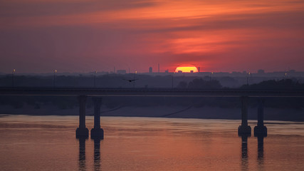 Fototapeta premium Sunset by the river against the city with a view of the bridge and a flying bird