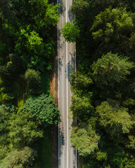 Empty road in green forest. Aerial drone top view from above