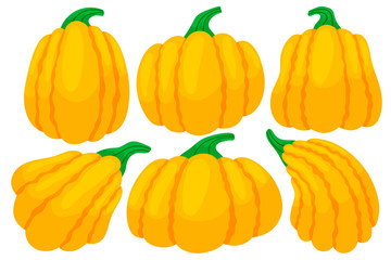 Set of colorful thanksgiving pumpkins. Cartoon and flat style. Vector illustration on white background.