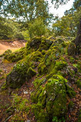 Sierra Hu&eacute;tor, Granada
