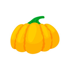 Thanksgiving colorful pumpkins. Cartoon and flat style. Vector illustration on white background.