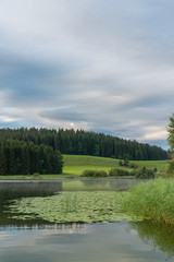 Fototapeta premium Niedersonthofenersee