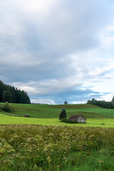 Wiese mit Scheune im Allgäu