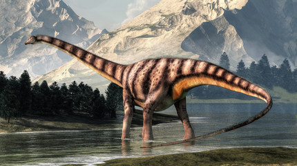 Diplodocus was a sauropod dinosaur that lived in North America during the late Jurassic. Here is is pictured wading in a shallow river.   3D Rendering. - obrazy, fototapety, plakaty