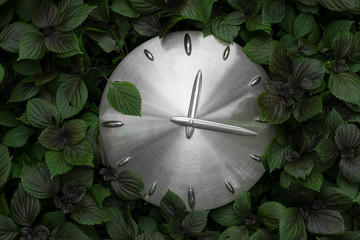 metal dial clock in the grass